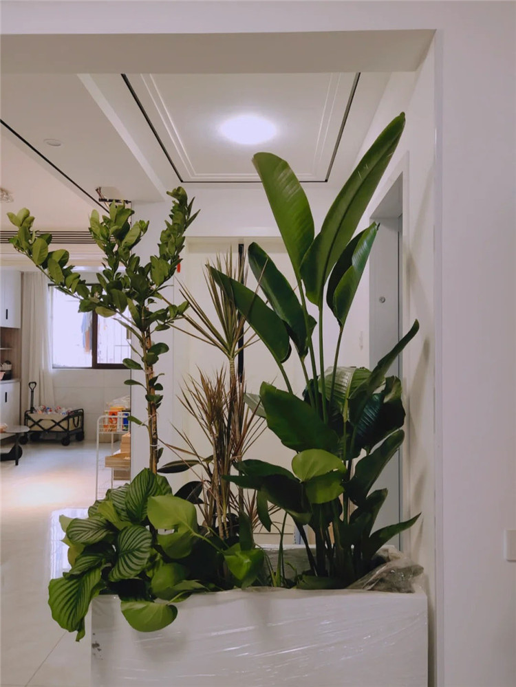 武汉装修,空间规划,室内设计