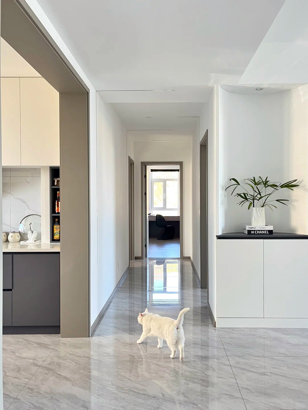 养宠装修,宠物家庭装修,养宠装修选材 养宠装修,宠物家庭装修,养宠装修选材