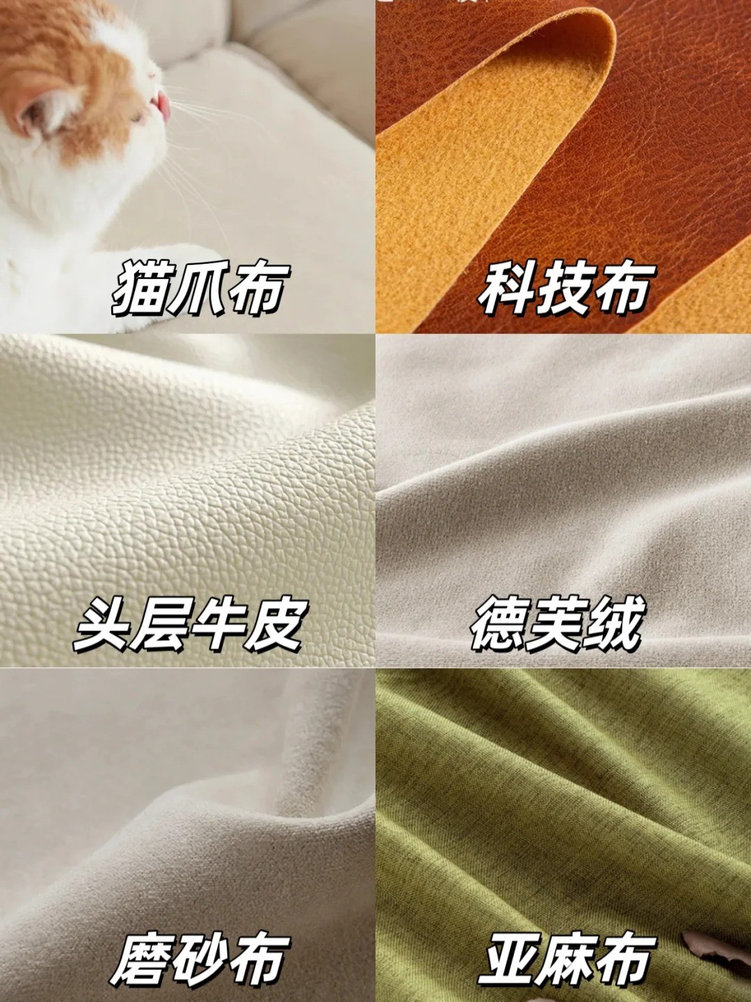 养宠装修,宠物家庭装修,养宠装修选材 养宠装修,宠物家庭装修,养宠装修选材